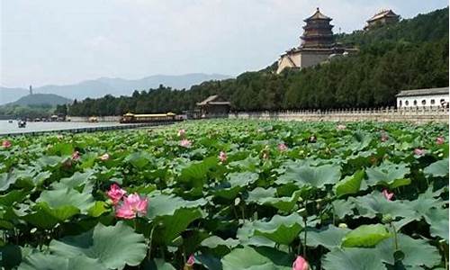 十年前的北京夏天的气温_北京气温和石家庄气温有差距吗