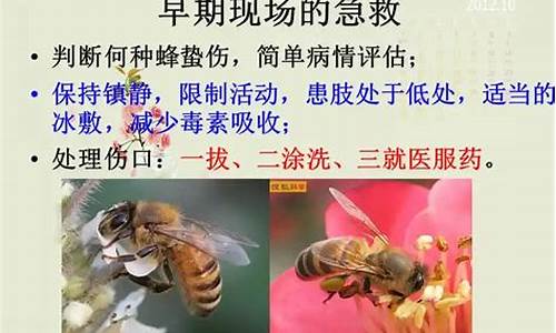 冷天蜜蜂怎么养_天气冷蜜蜂怎么处理