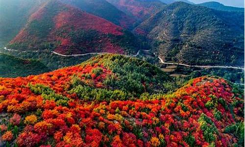 禹州鸠山天气预报_禹州市鸠山天气