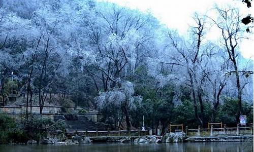 今年冬天贵州天气怎么样_贵州天气今年冬季